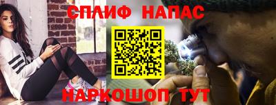 сатива Гусиноозёрск