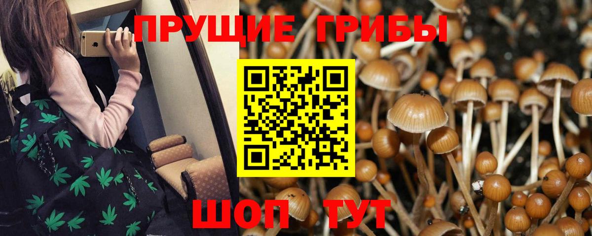 Галлюциногенные грибы GOLDEN TEACHER Ливны